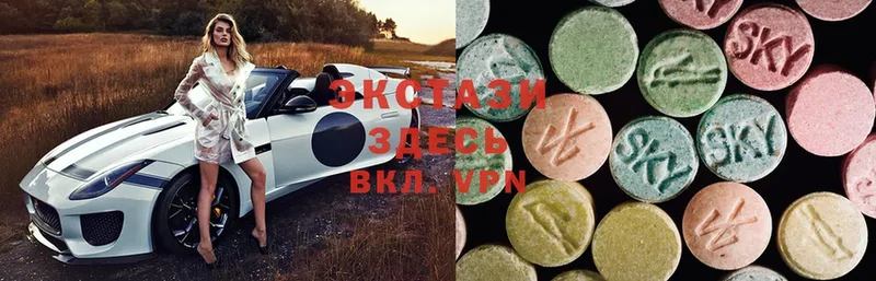 дарнет шоп  Кандалакша  Ecstasy Philipp Plein 